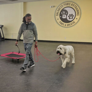 man walking dog with leash