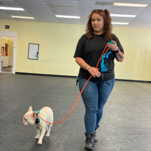 lady walking a dog with a leash