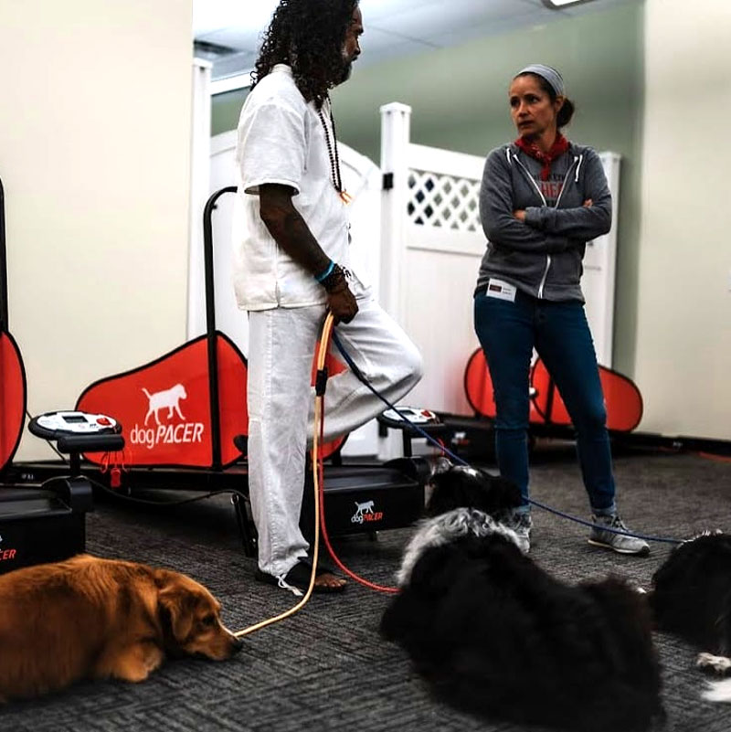 two dog trainers and dogs