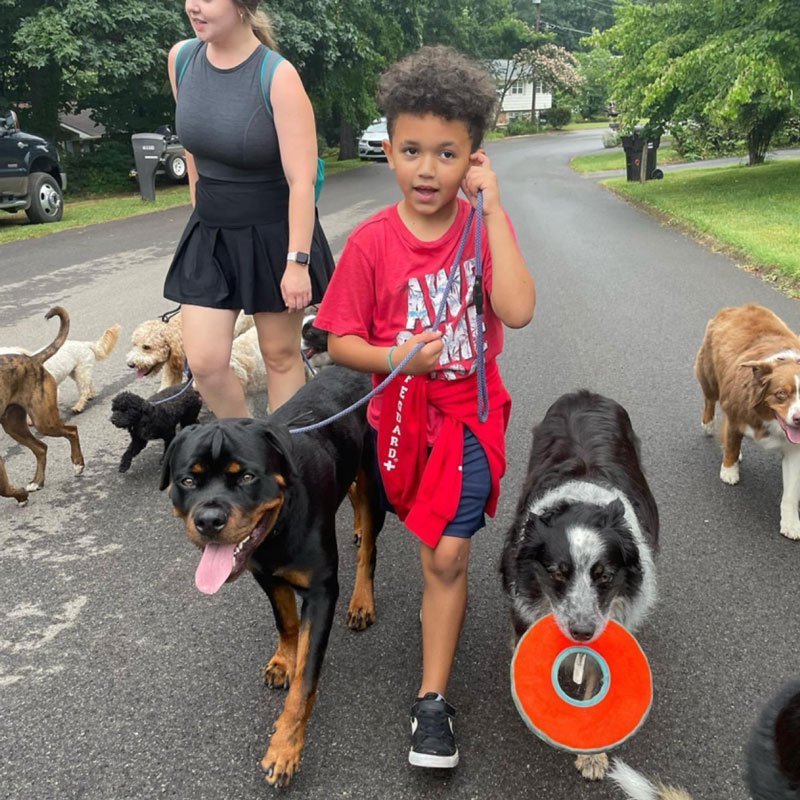 two dog trainers and dogs