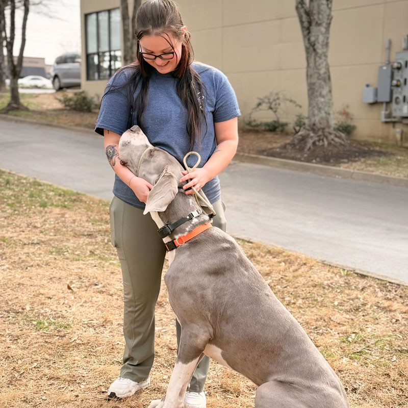 dog trainer and dog
