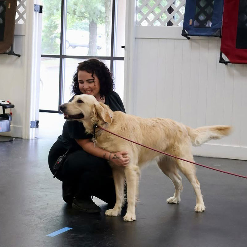 a dog and a lady