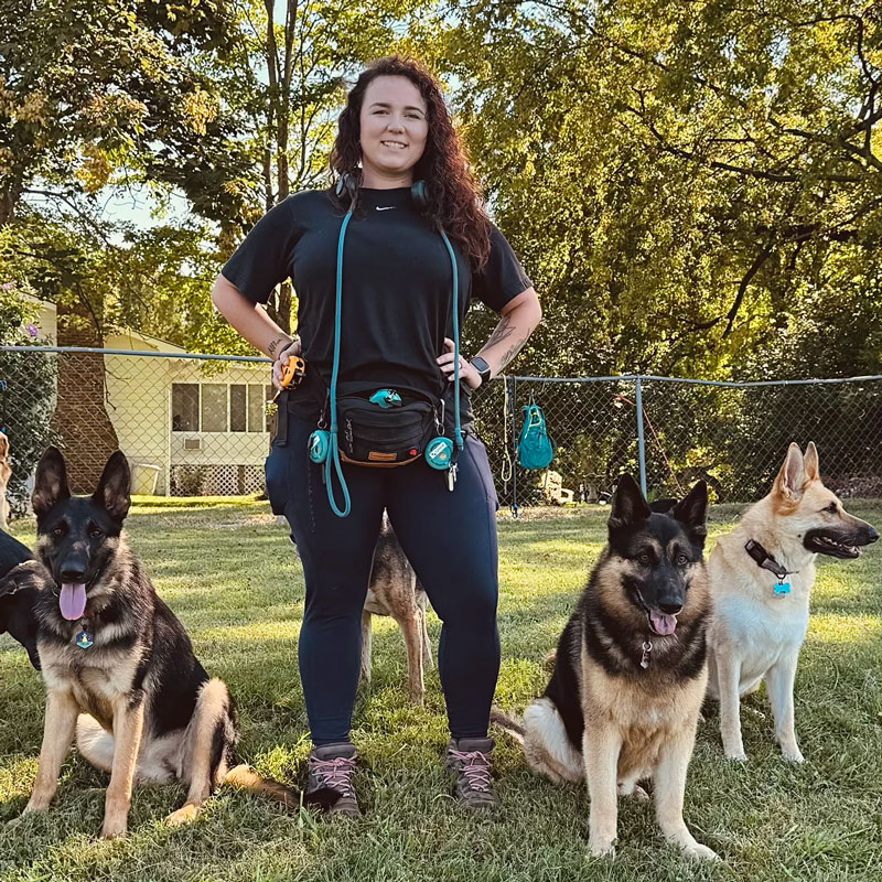 dog trainer and dogs