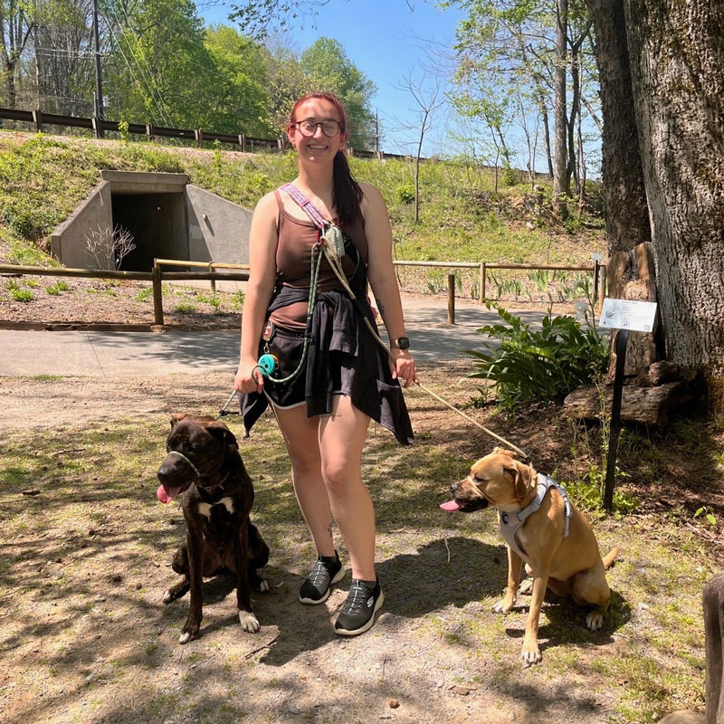 dog trainer and two dogs