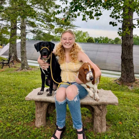 dog trainer and two dogs